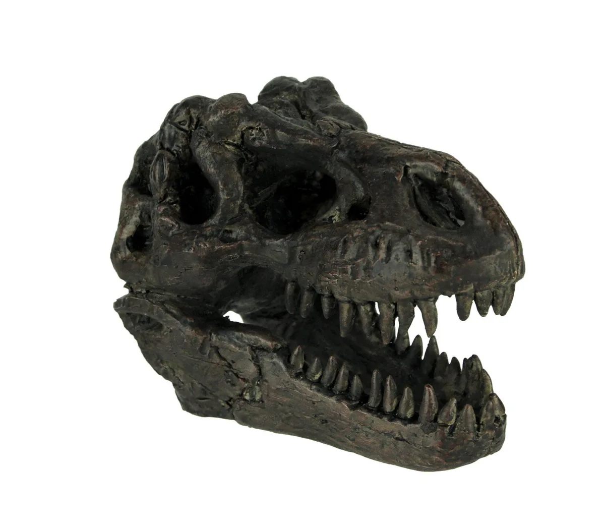Contrast Inc. Contrast Inc. Dinosaur Skull Statue 5.75 Inch Brown Resin T-Rex Fossil Head home accent — product photo