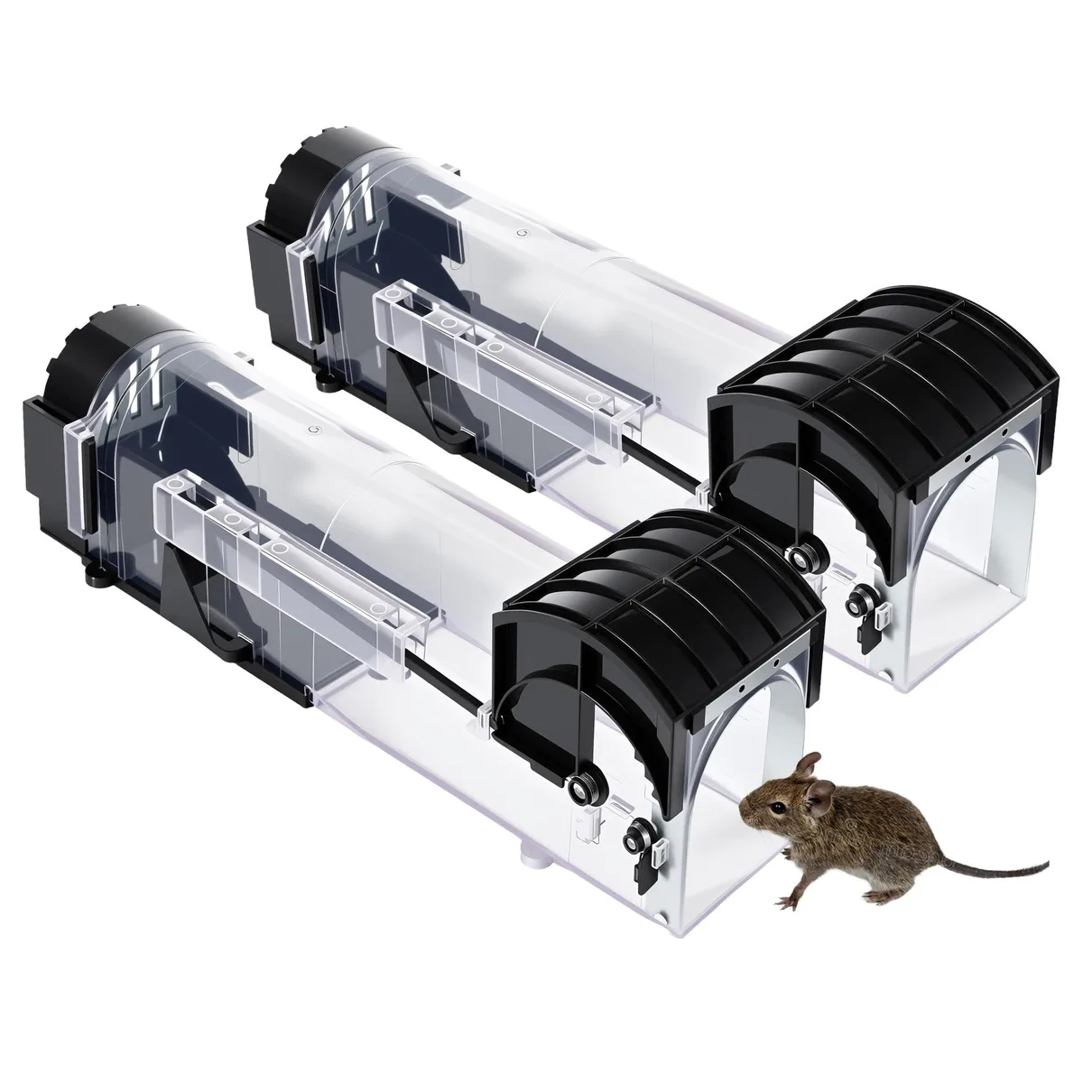 Two clear plastic live-catch mouse traps, 12.2 inches long, with reinforced metal door plates