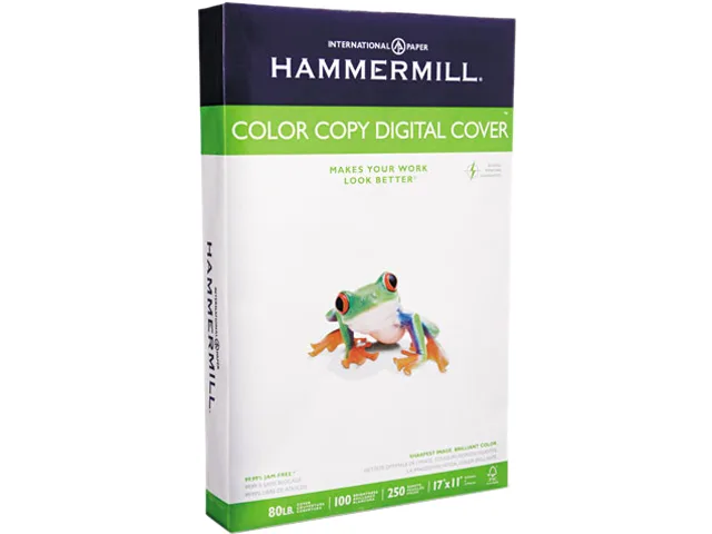 Hammermill Hammermill 12003-7 Card Filing 80 lbs 11 x 17 White 250 Sheets — product photo