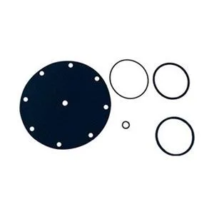 Watts Watts 100RK-4 Valve Rebuild Kit trap — product photo
