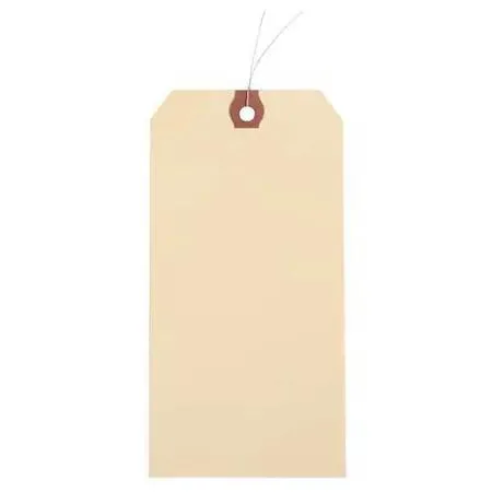 Value Brand Value Brand Manila Paper Wire Tag Pre-Wired #2 13pt Pk1000 — product photo