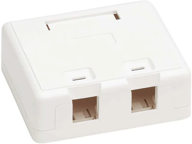 Tripp Lite Tripp Lite N082-002-WH 2-Port Surface-Mount Box White — product photo