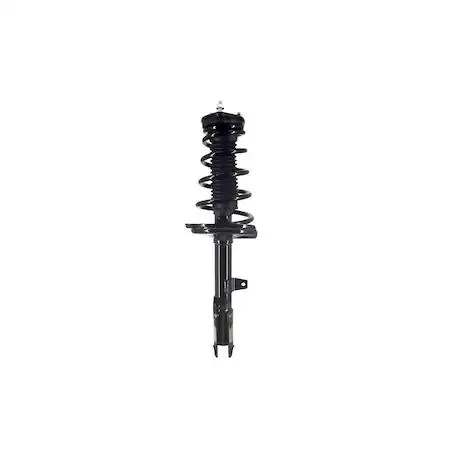 Fcs Struts Fcs Struts 2331613L Complete Strut Assembly — product photo
