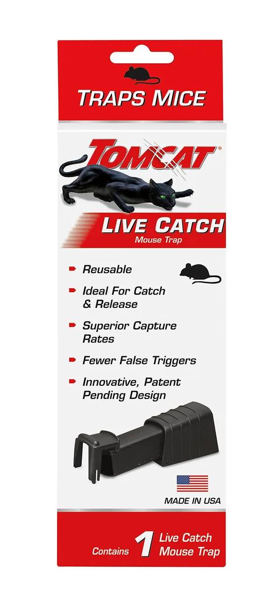 A small, rectangular plastic live-catch mouse trap with a spring-loaded door and ventilation holes