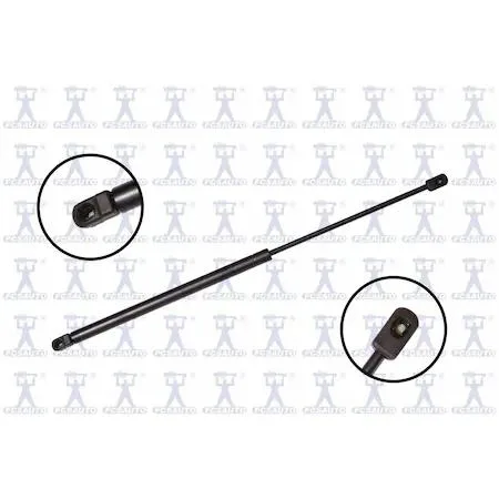 FCS STRUTS 86339 transparent lift support hood strut
