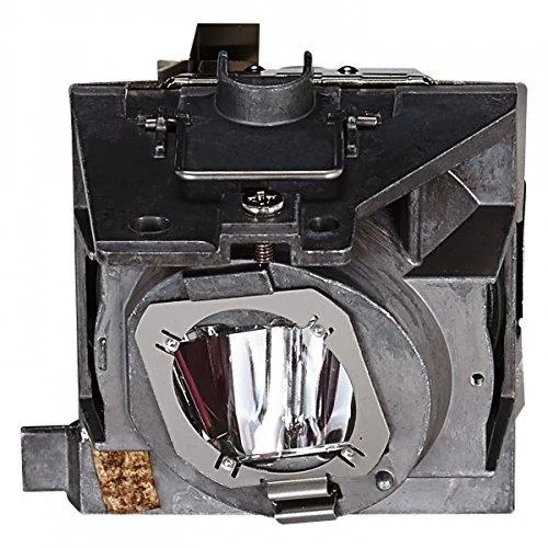 ViewSonic ViewSonic RLC-109 Projector Lamp &amp; Housing 4500h — product photo