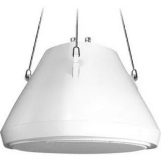 SPECO TECHNOLOGIES SPECO TECHNOLOGIES SP30PT 30 W pendant speaker surveillance accessory — product photo