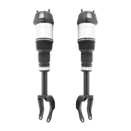 Two silver front air strut assemblies with black rubber bellows and silver mounting hardware
