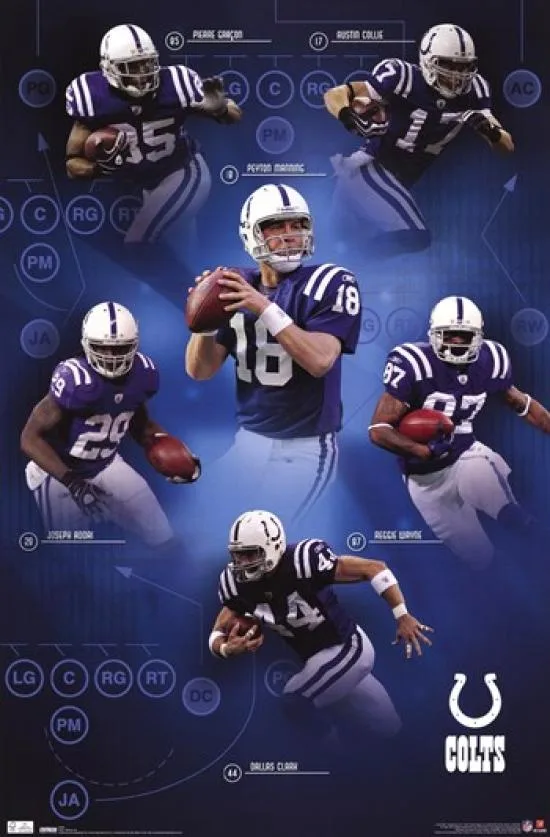 Indianapolis Colts offense 2010 poster print 24 by 36 inches