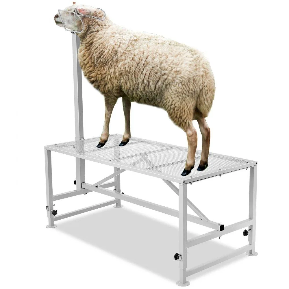 VEVOR VEVOR Goat &amp; Sheep Stand 51x23 in 21-33 in Height 500 lbs White — product photo