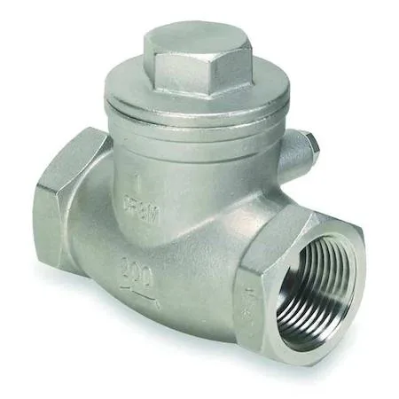Stainless steel swing check valve with threaded connections