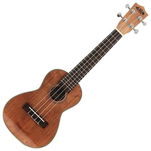 Kala Brand Music Co. Kala Brand Music Co. KA-CG Glossed Mahogany Concert acoustic-electric guitar — product photo