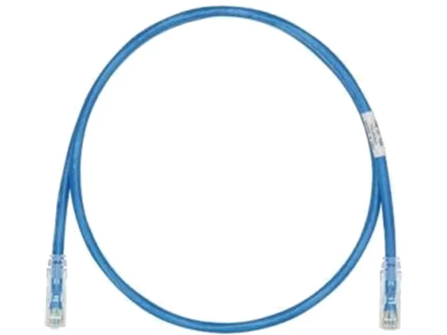 A blue Category 6 Ethernet patch cable with RJ-45 connectors, two feet long