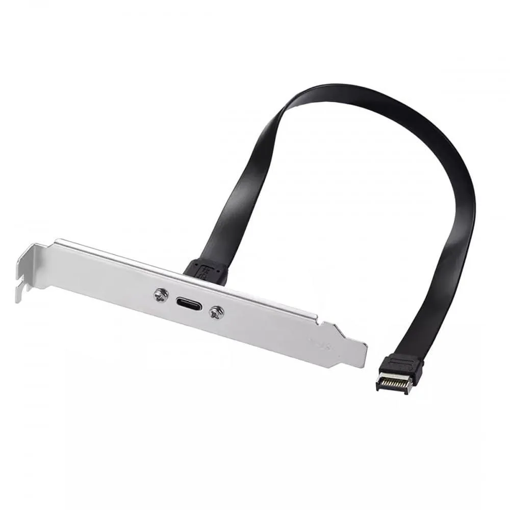Flat ribbon cable with 20-pin IDC plug and USB-C female port, panel-mount screw visible