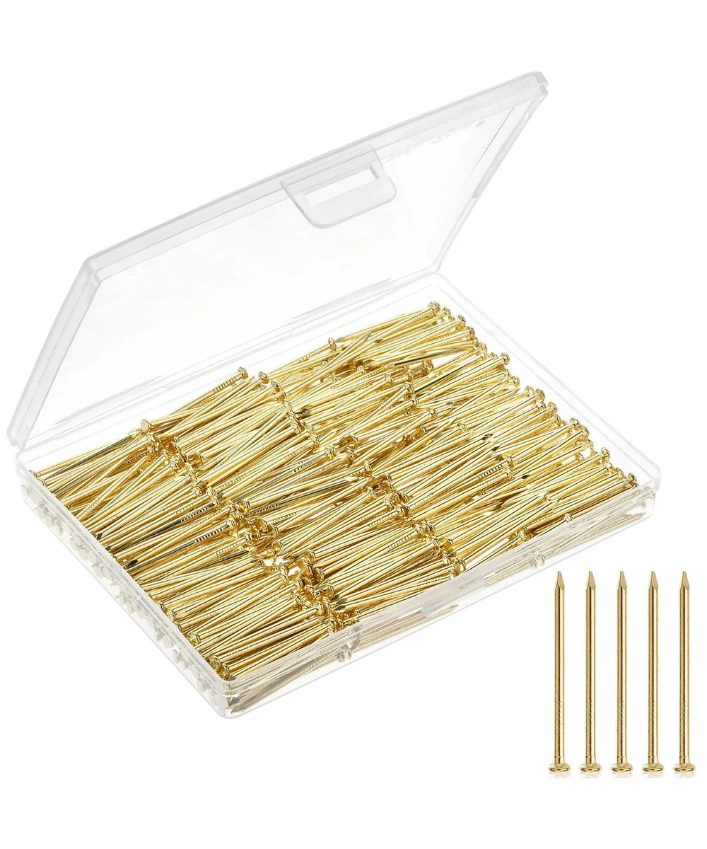 Gold 1.25 inch nails in rectangular storage box