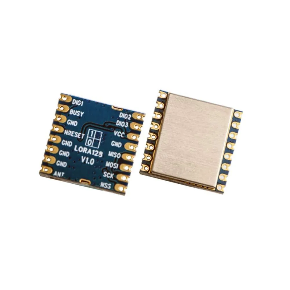 ARENTI ARENTI 2 in 1 Accessory SX1280 2.4GHz Dual Antenna LoRa Module — product photo