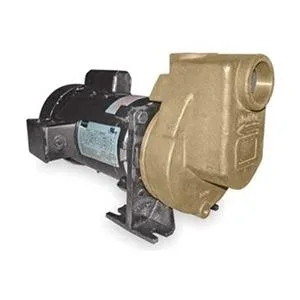 Bronze centrifugal pump with TEFC motor housing