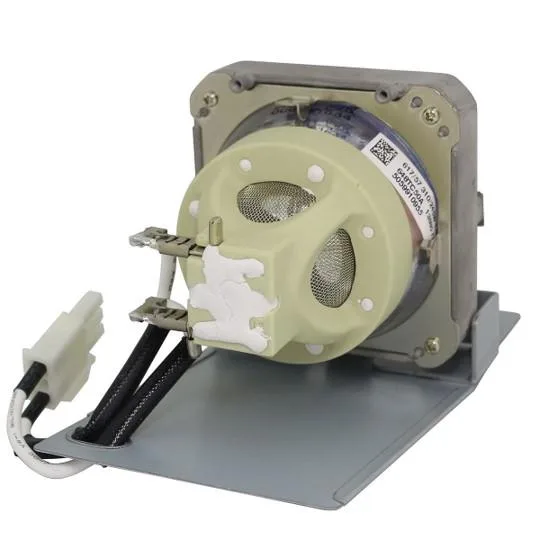 Vivitek Vivitek DW832-LAMP Projector Lamp 310W 2500 hrs — product photo