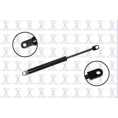 Transparent automotive lift support strut for trunk lid