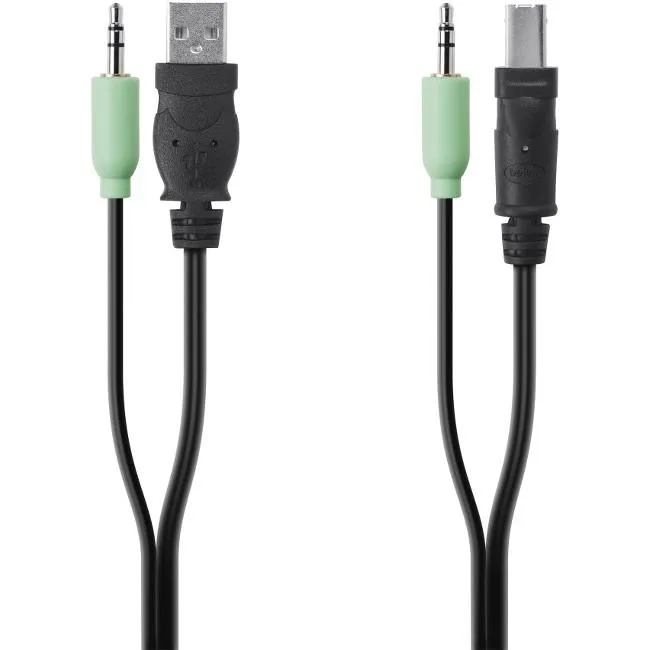 Belkin F1D9022B06 6 ft KVM cable with multiple connectors