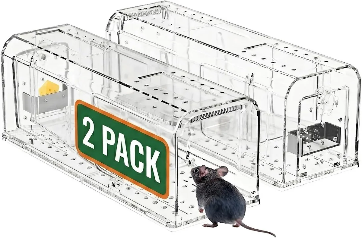 Two transparent plastic catch-and-release mouse traps