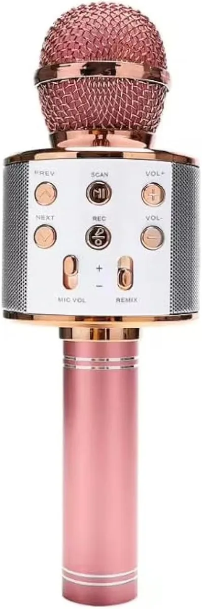 GENERIC micro02 Bluetooth 5.3 Karaoke Microphone Black — product photo