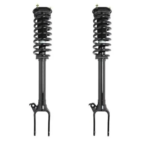 Pair of silver front strut assemblies with coil springs and top mounts