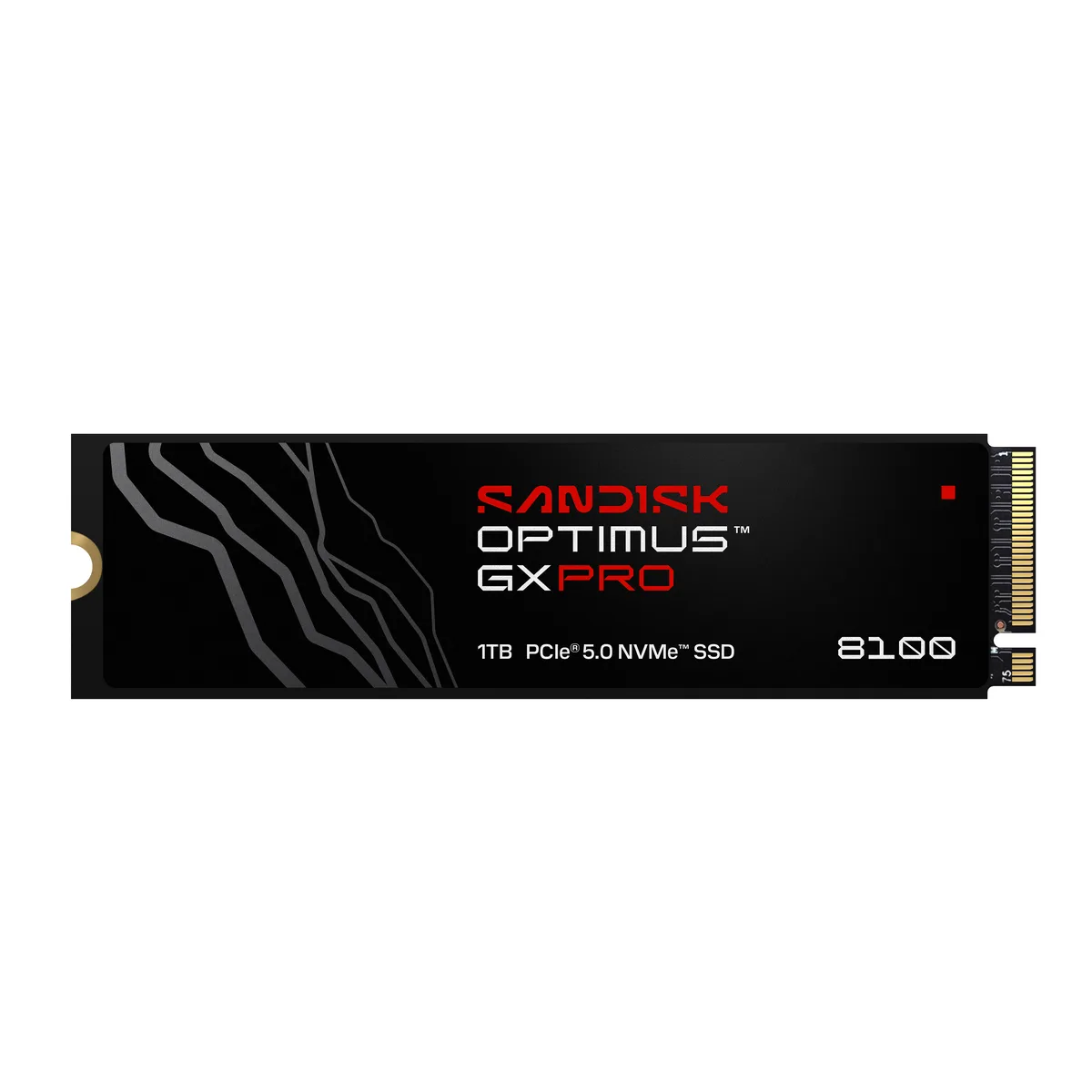 SanDisk SanDisk Optimus GX PRO 8100 1TB M.2 2280 PCIe 5.0 x4 NVMe 2.0 internal SSD SDSP82100TAN-000E0 — product photo