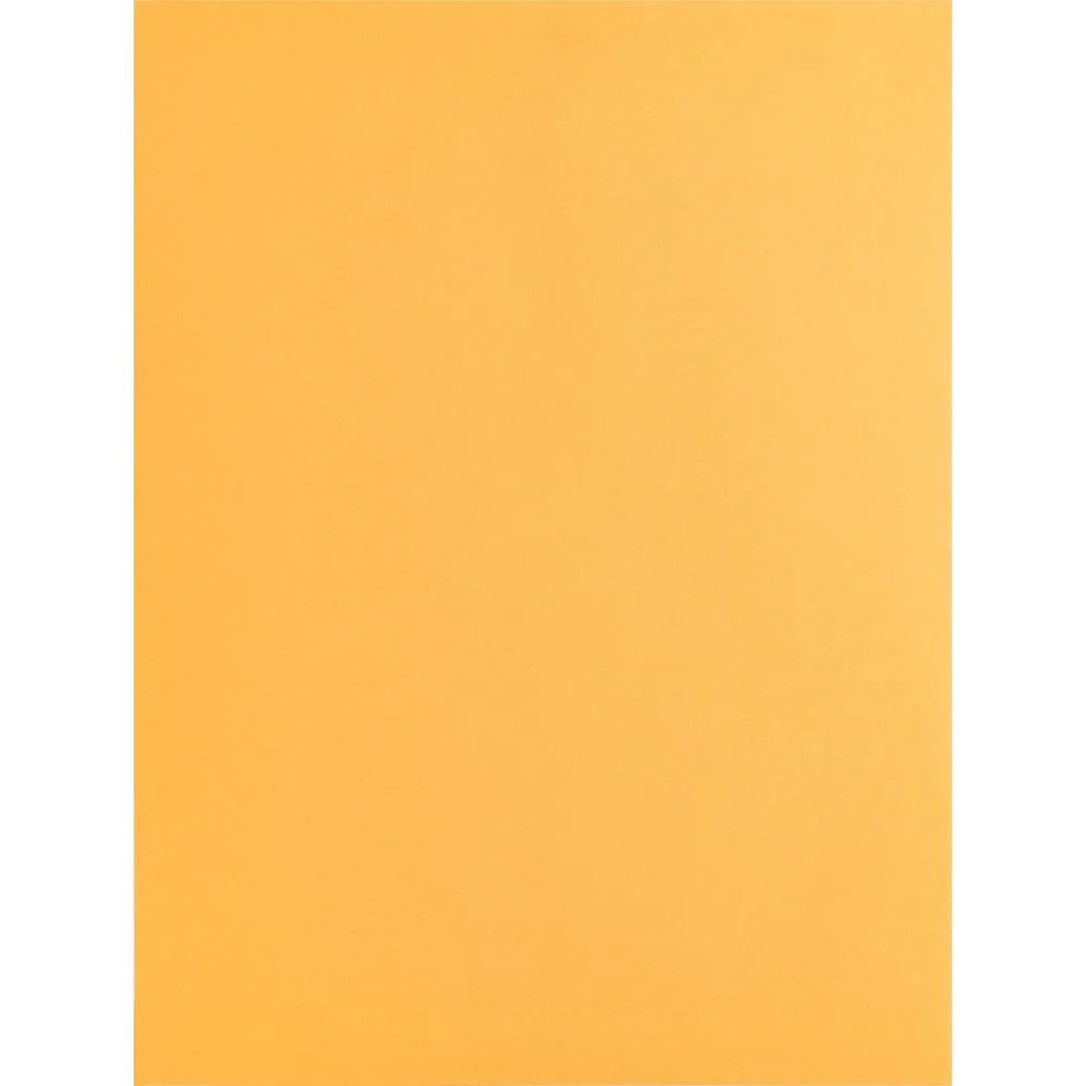 Business Source Business Source 42100 9x12 Kraft Envelopes 250/Box 28 lb — product photo