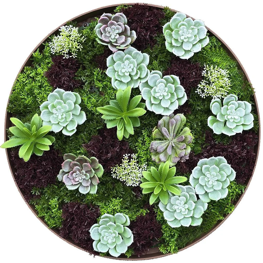 20-inch circular artificial succulent wall planter in plastic frame