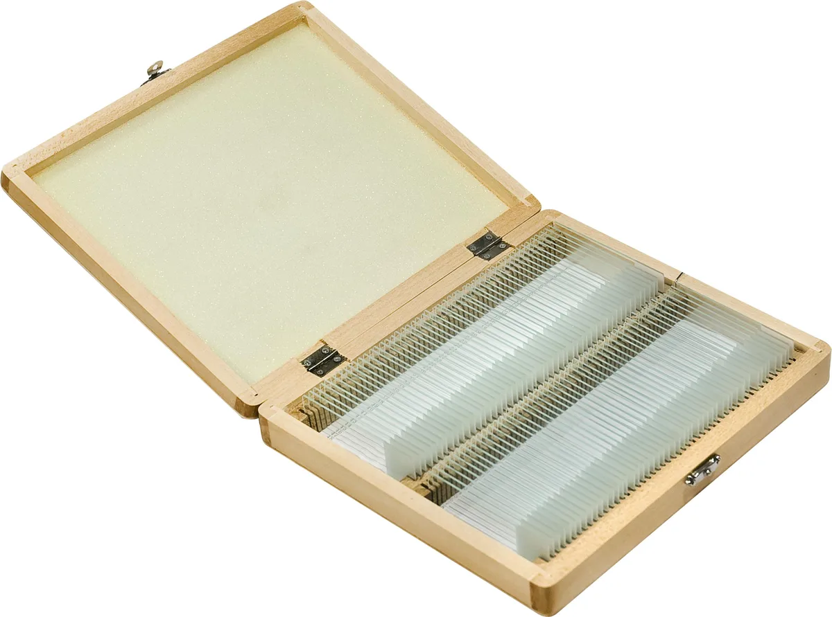 Wooden case holding one hundred prepared microscope slides