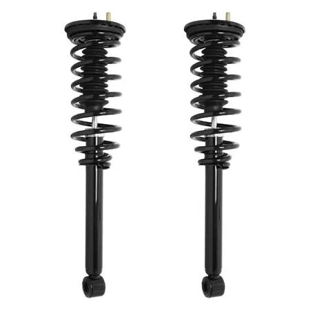 Unity Unity Rear Complete Strut Assembly Kit 2-15450-001 (2 struts) — product photo