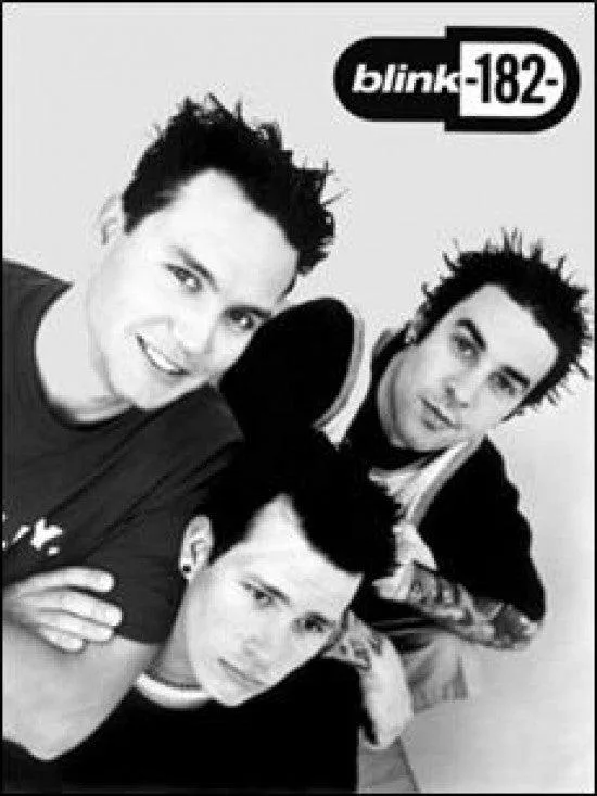 Blink 182 studio profile poster print 24 by 36 inches on premium heavy stock paper