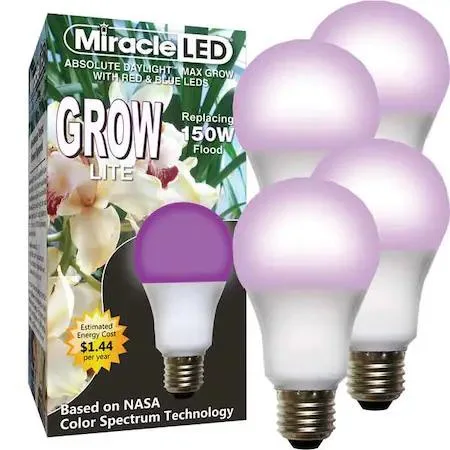 A21 frosted plastic LED grow bulb with red blue spectrum visible through transparent finish