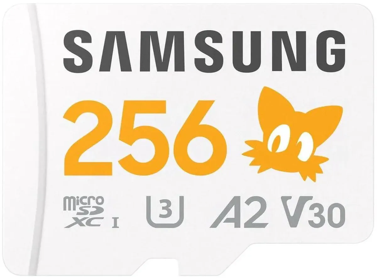 SAMSUNG SAMSUNG Sonic Pro Plus microSDXC 256 GB 180MB/s memory card — product photo