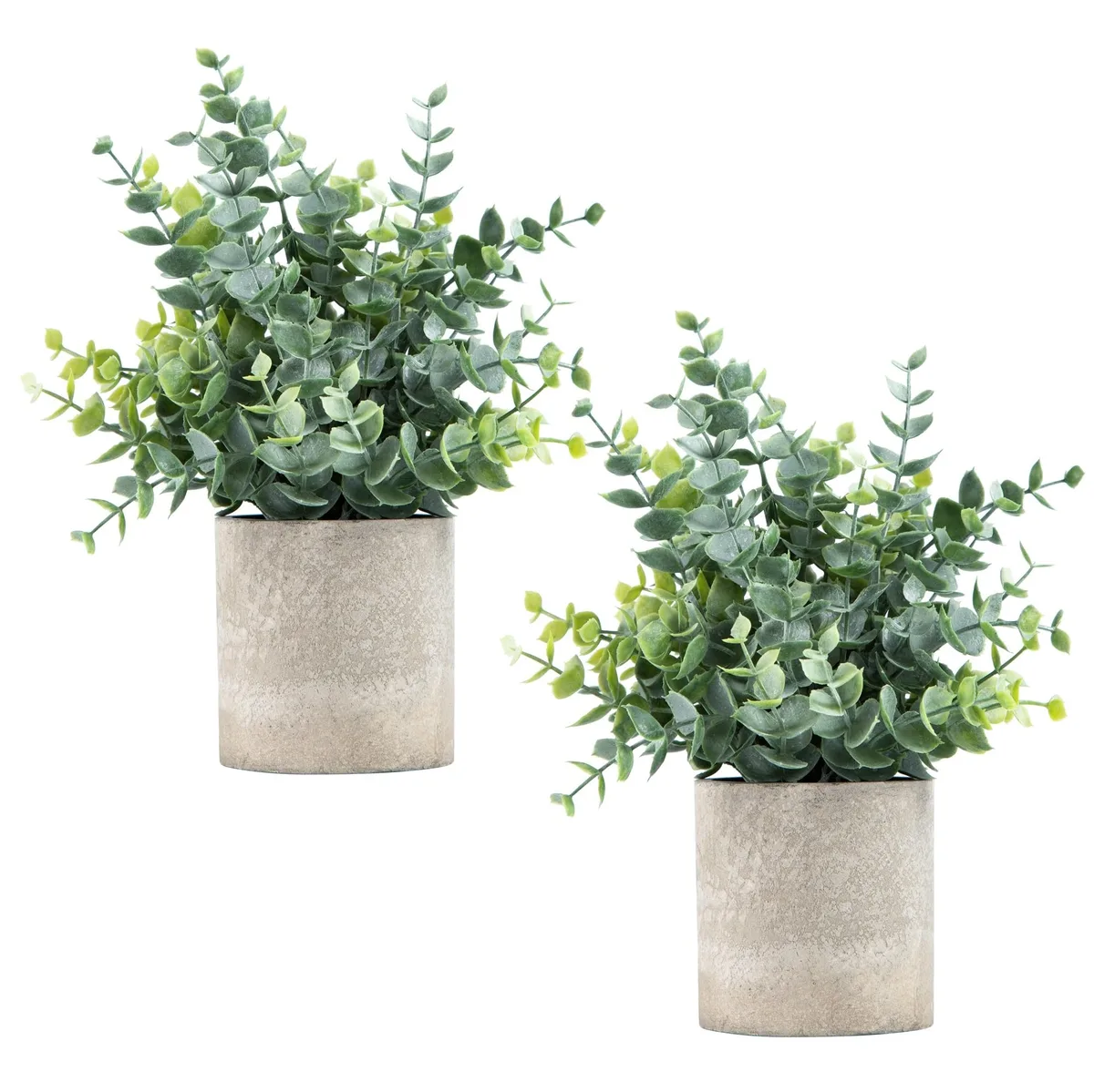 Two sage-green eucalyptus sprigs in round grey paper-pulp pots, 9.45 inches tall