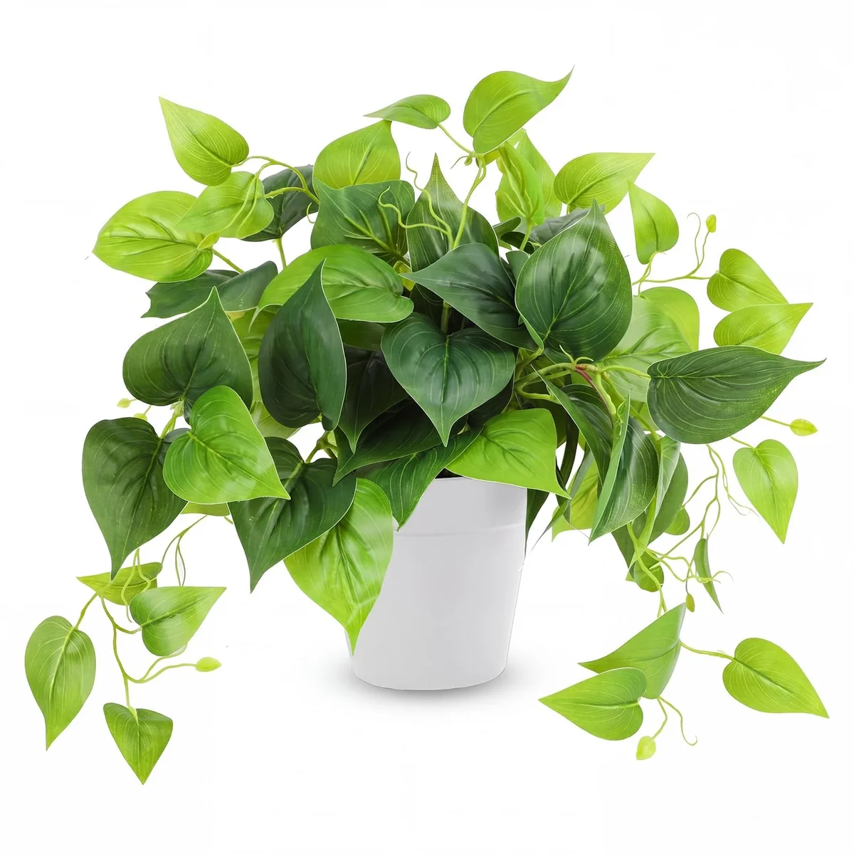 Artificial Scindapsus aureus in white plastic pot 7.9inch high