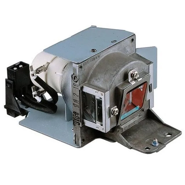 BenQ 5J.J4105.001 projector lamp module with housing