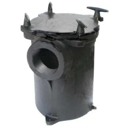 Dayton Dayton 5PXF3 3 in Cast Iron Pump Strainer — product photo