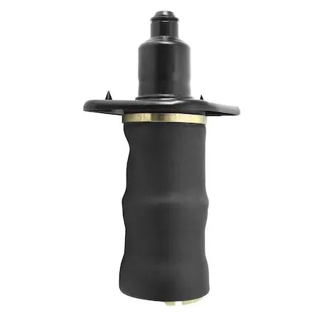 Black cylindrical rear right air spring with metal end caps