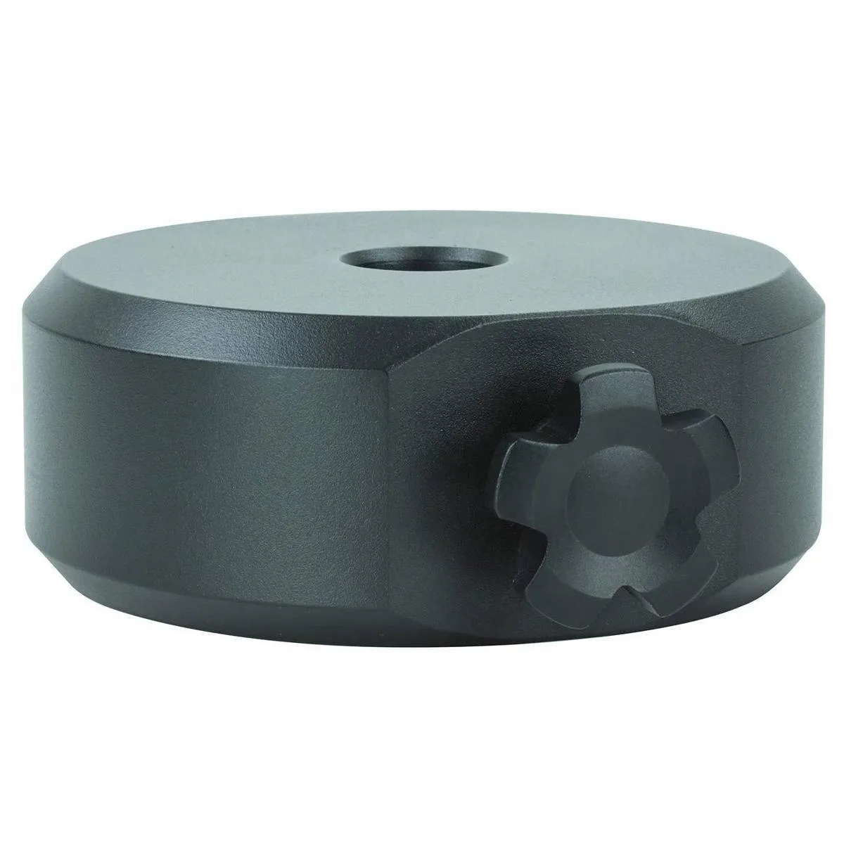 Sky-Watcher Sky-Watcher 22 lbs Counterweight for EQ8-R Mount — product photo