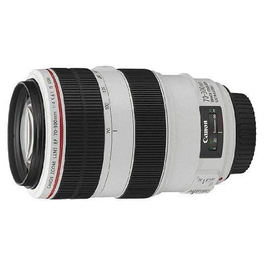 Canon Canon EF 70-300mm f/4-5.6L IS USM Lens 4426B002 White — product photo