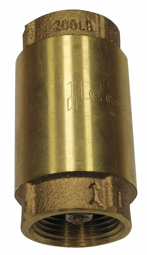 One-inch brass inline spring check valve with FNPT connections