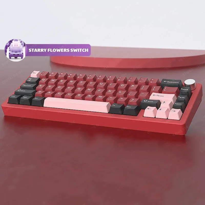Corn Electronics Corn Electronics AL65 60% 66-key tri-mode RGB gaming keyboard — product photo