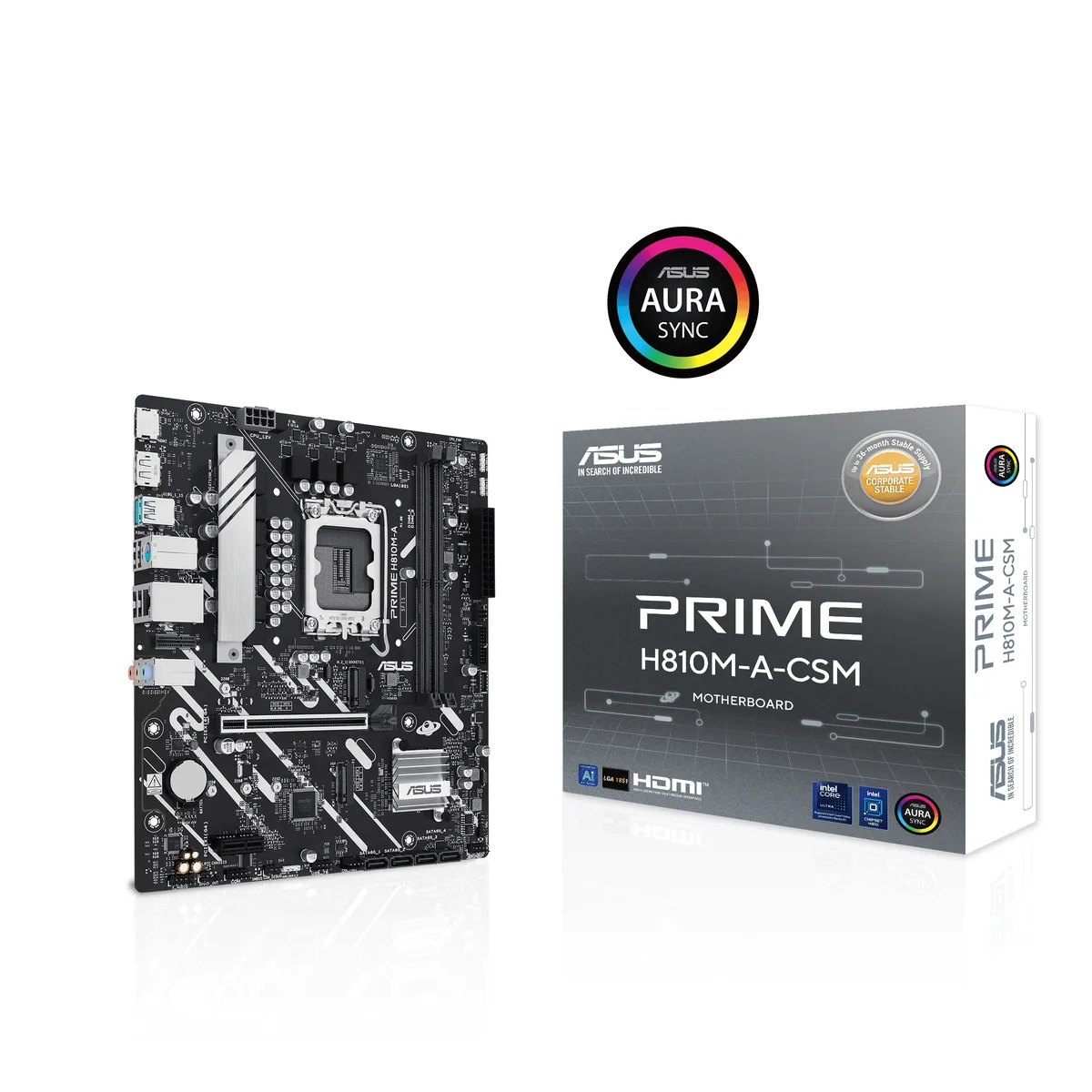 ASUS ASUS PRIME H810M-A CSM Intel H810 LGA 1851 mATX motherboard — product photo