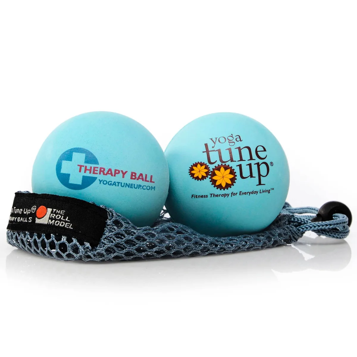 Two aqua-blue 2.5 inch rubber massage balls in mesh tote