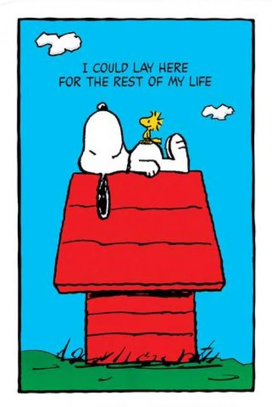 Poster print Snoopy Lay Here 24 by 36 inches