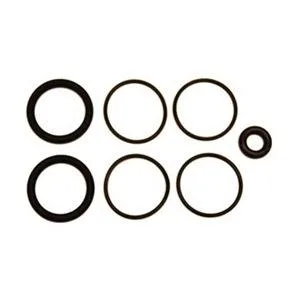 Wheeler-Rex Wheeler-Rex 39350 Pump Rebuild Kit for 6GDV5 — product photo
