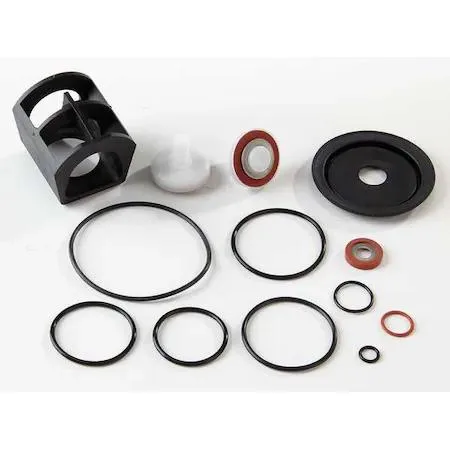 Clear plastic bag holding assorted rubber O-rings and molded disc assemblies for backflow preventer repair