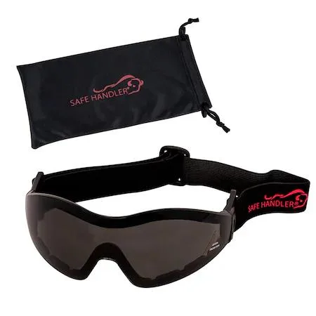 BISON LIFE BISON LIFE Mirage Safety Goggles Anti-Fog Anti-Scratch — product photo